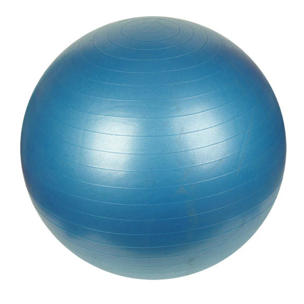 Anti Burst Exercise Ball With Pump