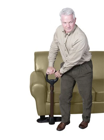 Couch Cane - Image 2