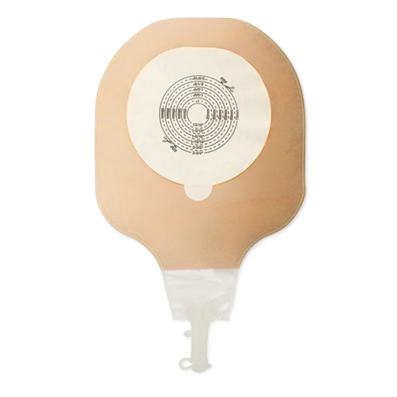 Premier High Output One-Piece 12" Pouche Flextend Non-Sterile 2-3/4" - Image 2