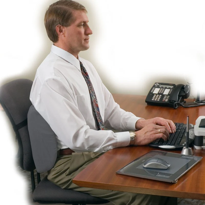 Std Sitback Lumbar Support - Image 4