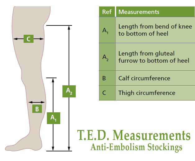 Unisex T.E.D Anti-Embolism Thigh High 8-18mmHg - Image 2
