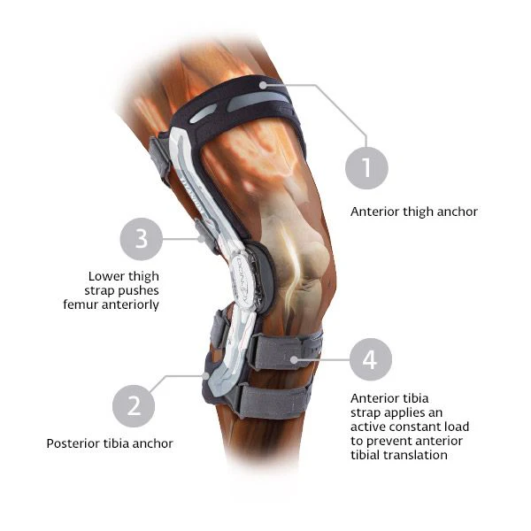 A22 Custom Knee Brace - Image 3